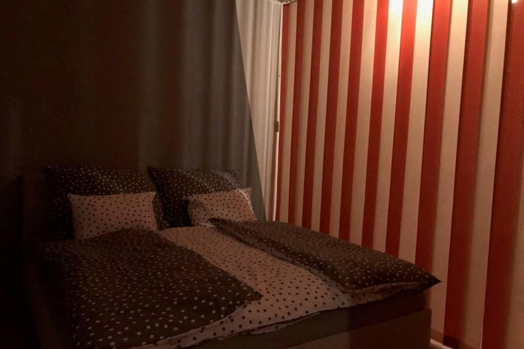 Apartman Quattro 索科洛夫 外观 照片